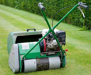 Quality Lawn Mowing and Treatment